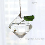 ampoules verre transparentes modernes opalescentes cordelette boutons fixation pot plantes minimaliste
