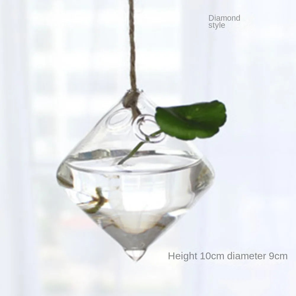 ampoules verre transparentes modernes opalescentes cordelette boutons fixation pot plantes minimaliste