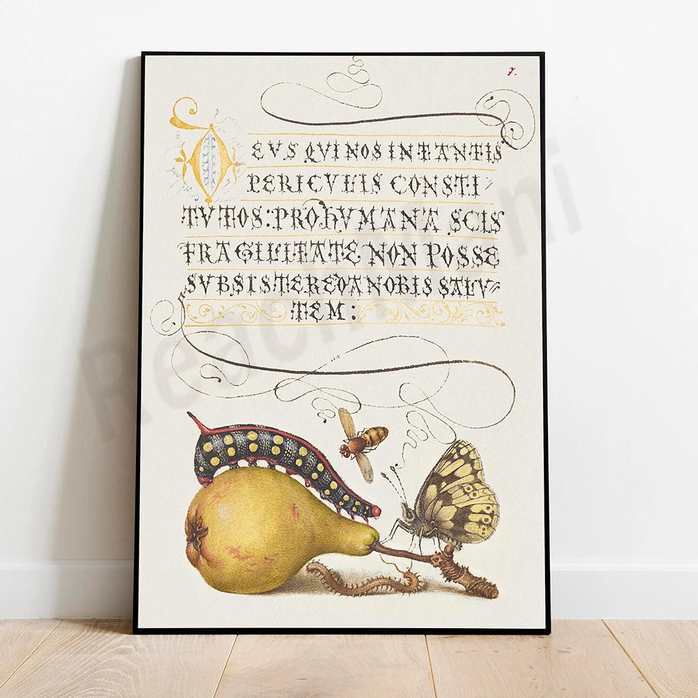 Une étrange et fascinante illustration mêlant un texte latin orné et des créatures fantaisistes, évoquant un univers onirique et mystérieux.