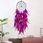 Un magnifique attrape-rêves aux plumes pourpres et roses, suspendu dans un salon décoré avec goût.
