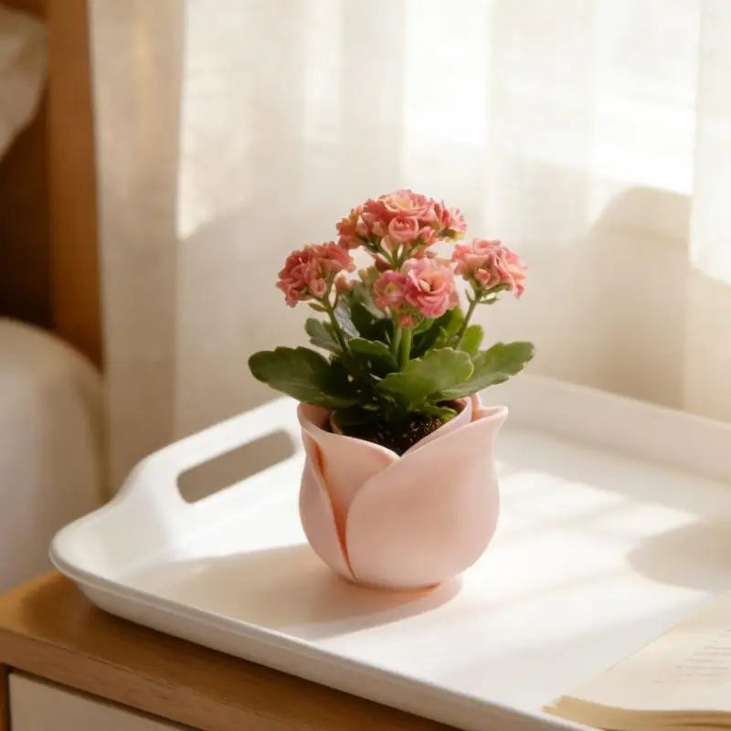 cache pot moderne forme fleur rose clair rose foncé support plante salon table