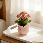 cache pot moderne forme fleur rose clair rose foncé support plante salon table