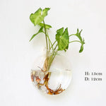 vase transparent moderne verre plante racines intérieur décoration hydroponique fleur
