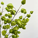 bouquet artificiel orange bleu rouge vert feuilles coeurs moderne intérieur decoration 98CM
