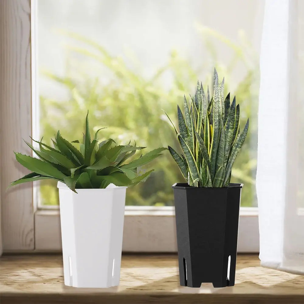 pots fleurs modernes blanc noir transparent ouverture jardinage plantes pot
