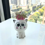 vase céramique glacé cartoon chat sourire plante décoration diy blanc erotique