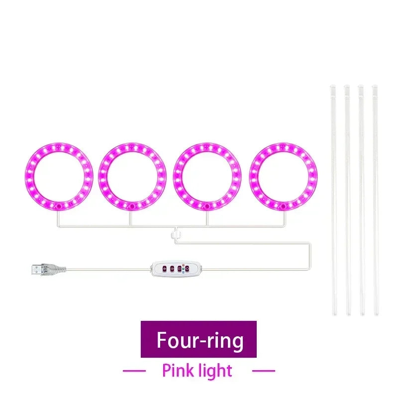 lumière croissance led usb rechargeable rose bleu blanc moderne minimaliste