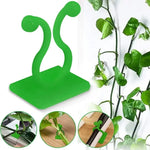 clips fixation murale plantes grimpantes support jardin vert motif feuilles adhésif invisible accessoires
