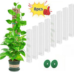 support croissance plantes vertes moderne adhésif pliante pot éco compatibleintérieurextérieur