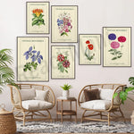 Les jolies illustrations botaniques vintage ornent avec élégance les murs de cette salle de détente confortable.