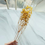 bouquets fleurs séchées multicolores decoration maison anniversaire mariage festive naturelle rustique