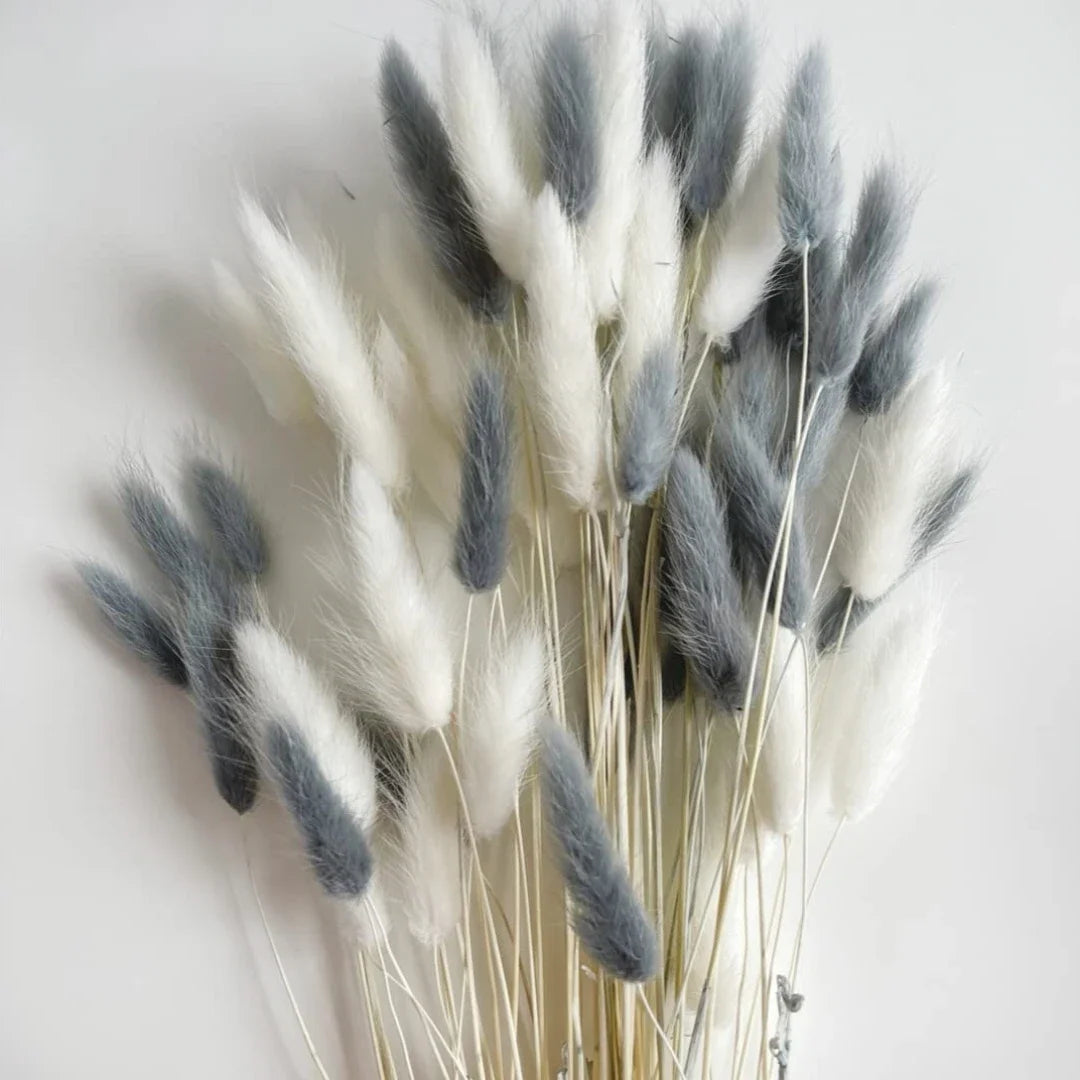 plumes séchées naturelles queue lapin décoration maison fêtes anniversaires mariage bohème rustic beige clair