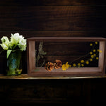cadre photo bois dried flowers shadow box frame rectangulaire verre transparent deco mur rustic