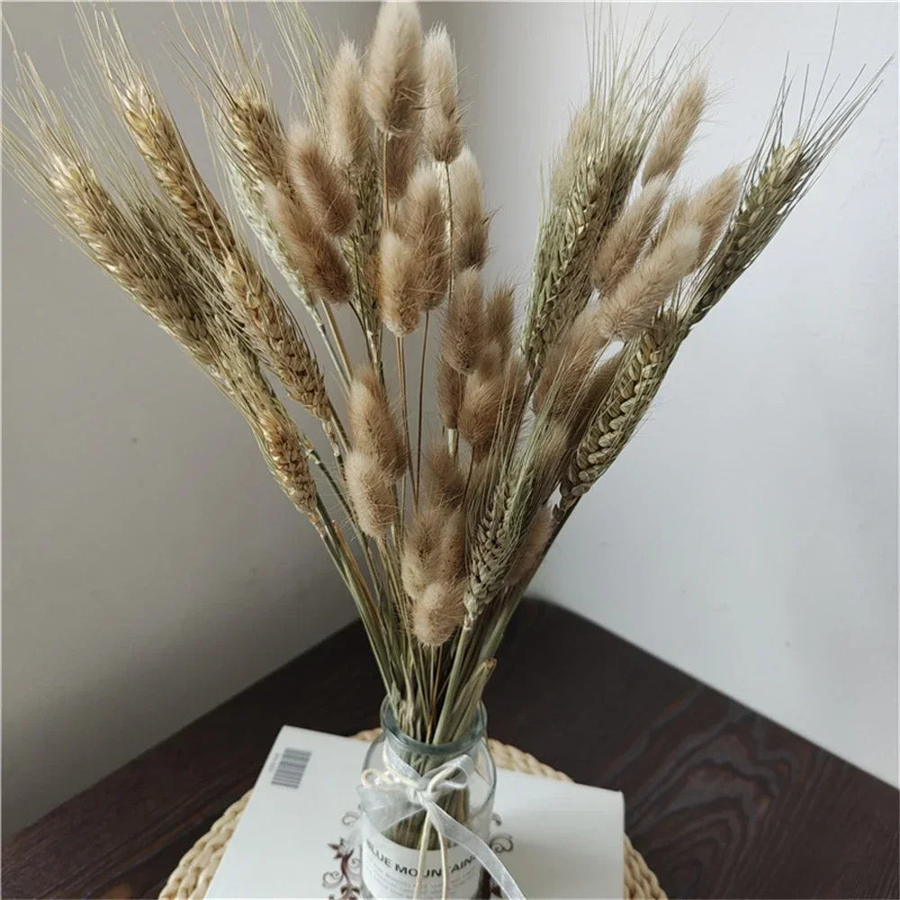 bouquet fleurs séchées naturelles pampa roseau épis blé herbe décoration maison bohème blanc beige