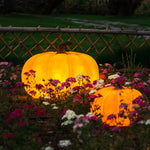lumière led citrouille forme moderne jardin extérieur décoration traditionnelle flux faible ip55 absPidèle: