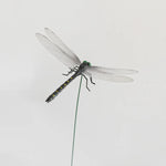 décoration extérieure dragonfly répulsif moustiques naturel sans chimie vert translucide jardin tringle
