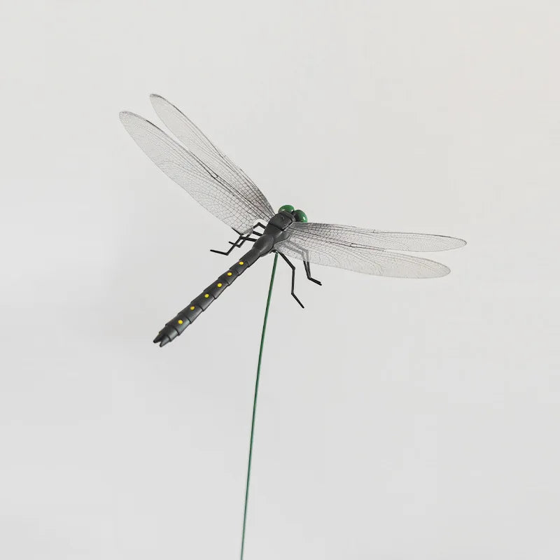 décoration extérieure dragonfly répulsif moustiques naturel sans chimie vert translucide jardin tringle