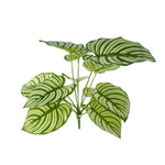 plante artificielle décorative feuilles vertes blanches rouges salon maison moderne naturel