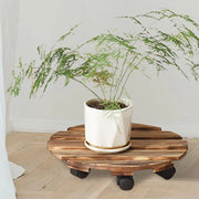 support plante roulette bois rustique plateau mobile entretien facile industriel asparagus fern diametre 30cm