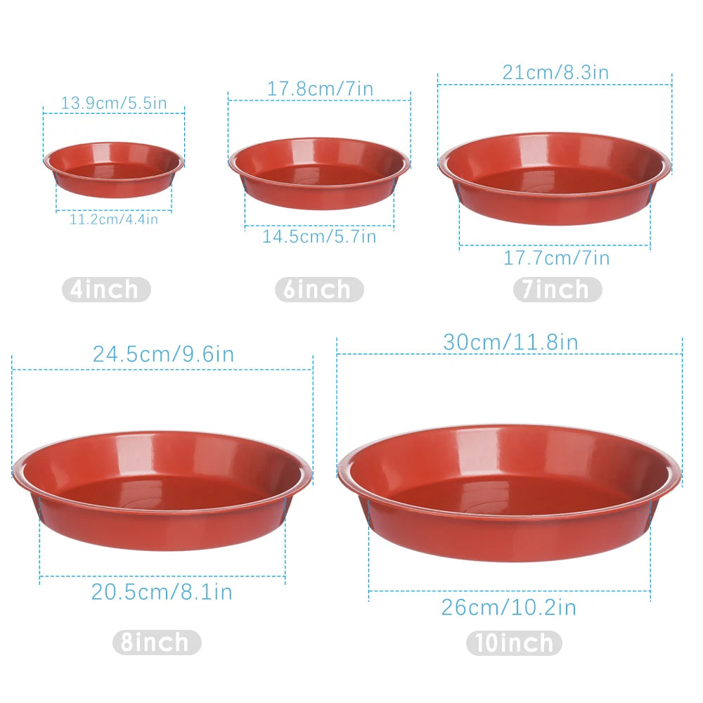 assiettes plantes noires rouges blanches modernes 10 cm