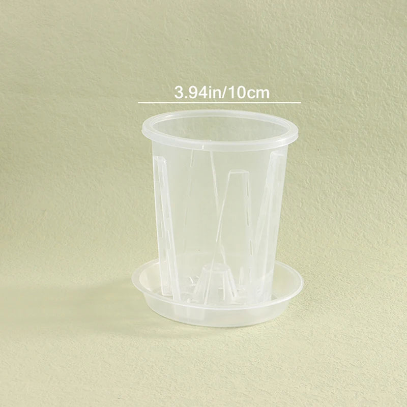 pots semis transparents modernes couvercle 10cm 12cm 14cm jardinage décoration ornemental plastique