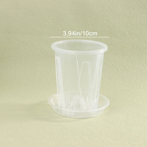 pots semis transparents modernes couvercle 10cm 12cm 14cm jardinage décoration ornemental plastique