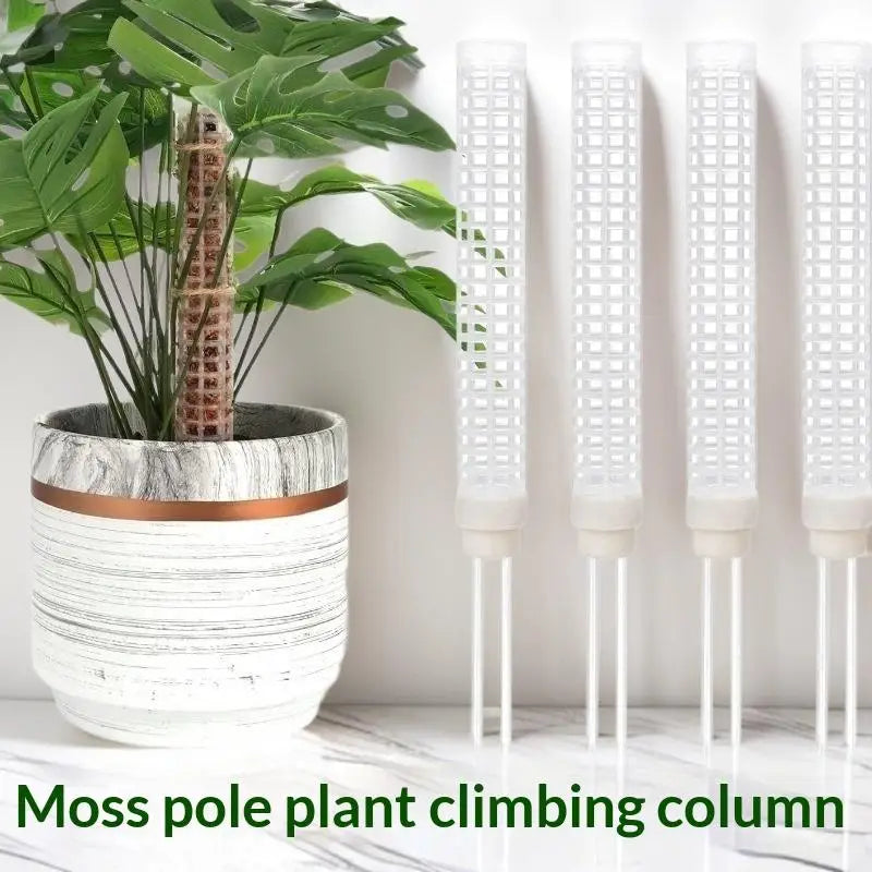support plantes grimpantes mural blanc moderne vert noir fixe pointe métallique fonctionnelintérieur organisateuraccueilaccessoiremaison