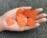 fleurs séchées hybrides orange rose violet bleu décoration maison intérieure DIY craft deco festive
