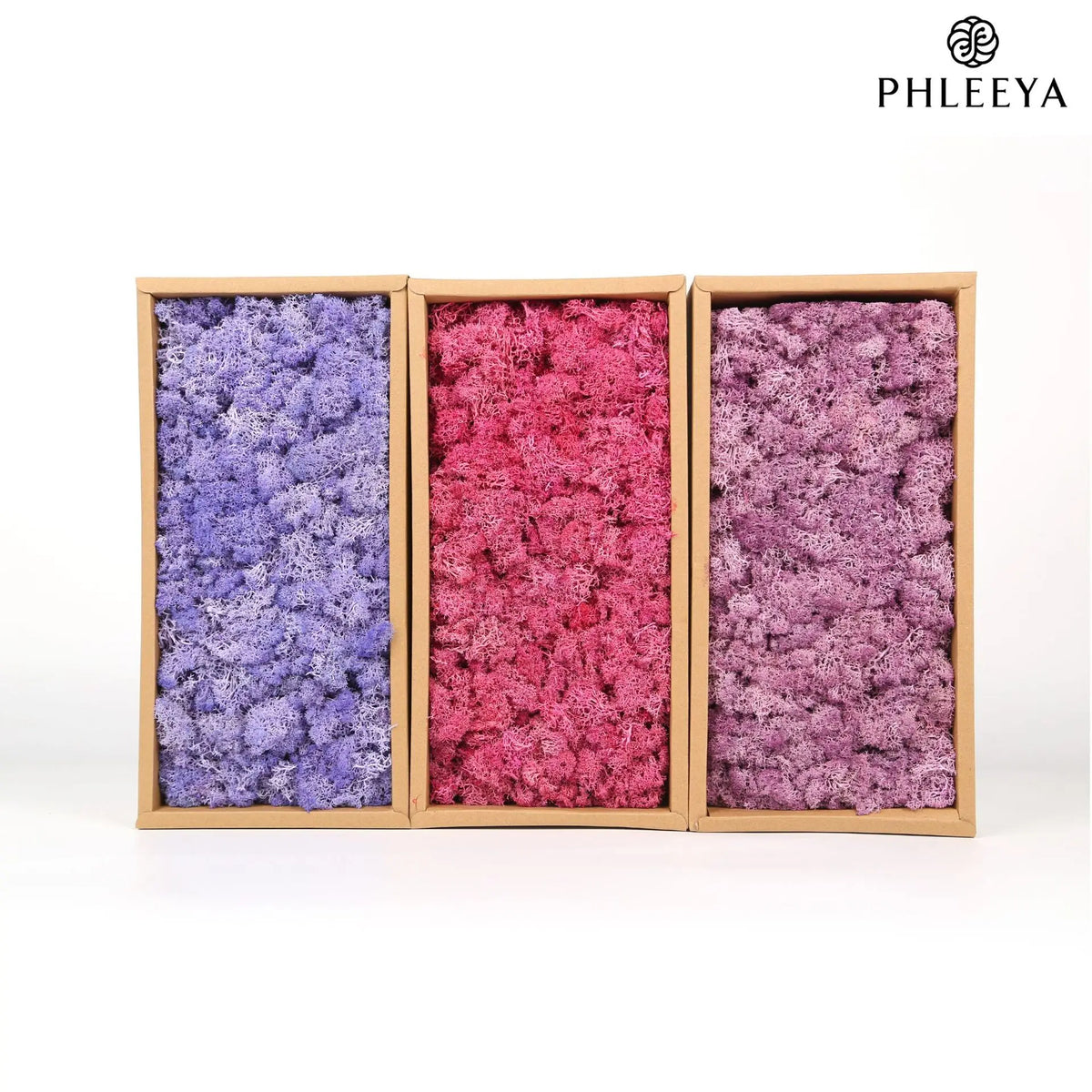 mousse séchée naturelle décorative fleurs séchées rustiques vert rose bleu violet maison intérieur