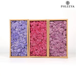 mousse séchée naturelle décorative fleurs séchées rustiques vert rose bleu violet maison intérieur