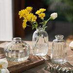 vases décoratifs modernes transparents rayures vertes fleurs maison table mariage