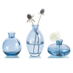 vases transparent modernes verre simple minimalistes bleu vert fleurs plantes