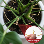 clips plante or noir vert moderne feuille monsteraintérieur extérieurgardening accessories