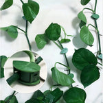 clips vigne feuilles vert clips mur escalade support plantes multifonctionnel cintres fleurs