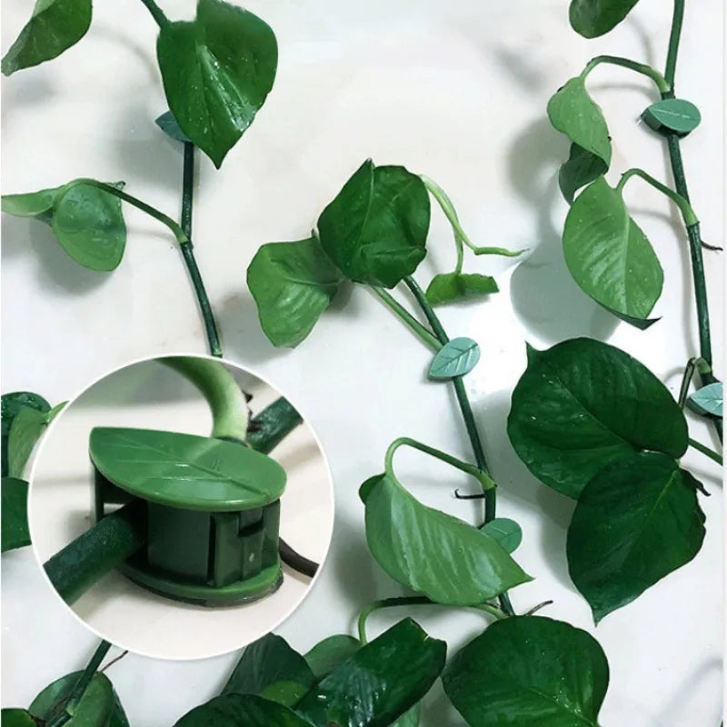 clips vigne feuilles vert clips mur escalade support plantes multifonctionnel cintres fleurs