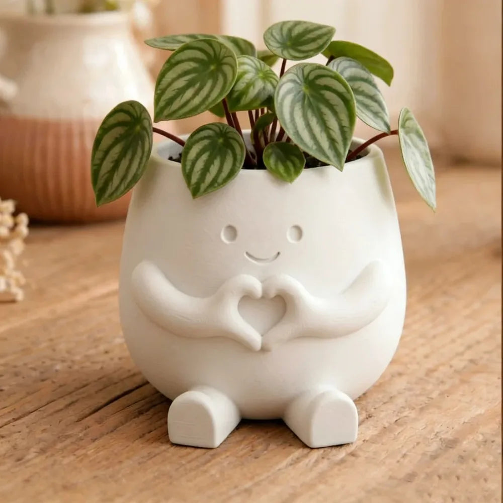 pot fleurs blanc forme mains cœur plante verte motif rayé décoration moderne intérieur extérieur