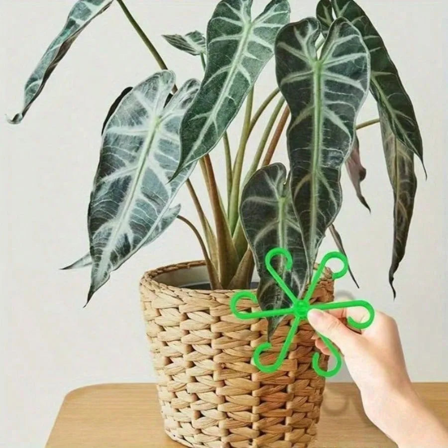 supports plantes vert moderne clips plastique autonome geometrique étoile fixations