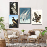 Une série de reproductions d'illustrations d'oiseaux dans un cadre sobre et naturel, créant une ambiance apaisante et élégante.