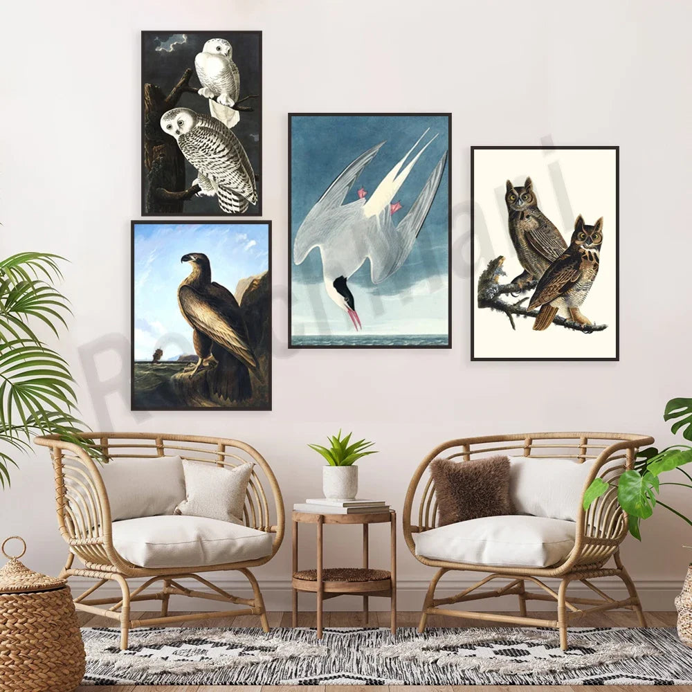 Une série de reproductions d'illustrations d'oiseaux dans un cadre sobre et naturel, créant une ambiance apaisante et élégante.