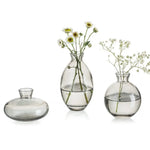 vases verre transparent modernes fleurs décoration intérieure maison minimaliste
