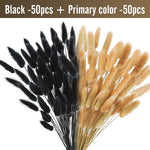 plumes séchées naturelles queue lapin décoration maison fêtes anniversaires mariage bohème rustic beige clair