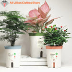 pots plante auto arrosable plastique blanc bleu orange moderne minimaliste 25l 15l