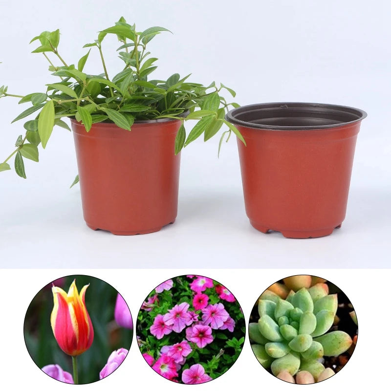 pots fleurs plastique orange noir modernes jardins plantes succulentes petits conteneurs jardinage semis fleurs
