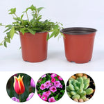 pots fleurs plastique orange noir modernes jardins plantes succulentes petits conteneurs jardinage semis fleurs
