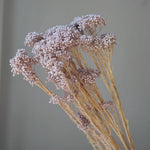 bouquet fleurs séchées naturelles rustique décoration maison mariage anniversaire petit volume décoratif