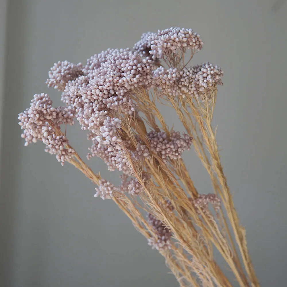 bouquet fleurs séchées naturelles rustique décoration maison mariage anniversaire petit volume décoratif