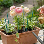 tuteurs plantes réutilisables bambou tiges fleurs artificielles vert foncé lisses modernes adhésifs 30cm 40cm