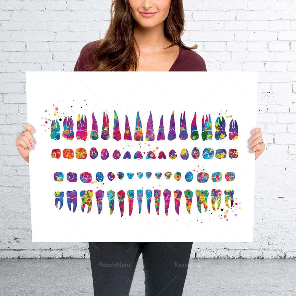 Cette affiche colorée et élégante met en scène une série de dents stylisées avec des motifs et des couleurs différentes, offrant une représentation originale et artistique de l'anatomie dentaire.