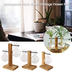 vase hydroponique vintage verre transparent plante table décoration bonsaï rond simple