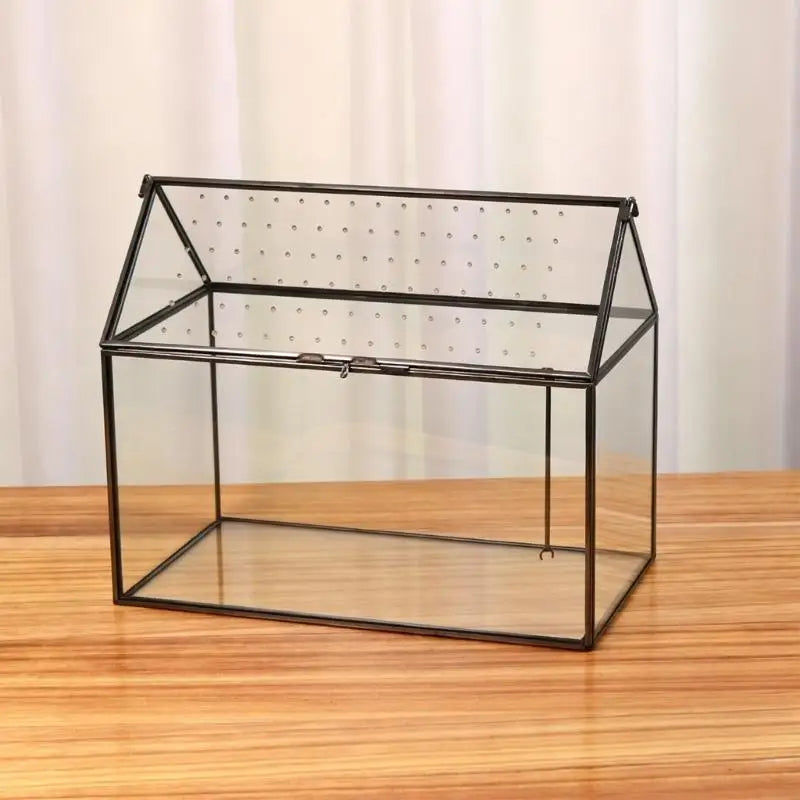 serre verre transparent moderne couvercle perforé clips air plant